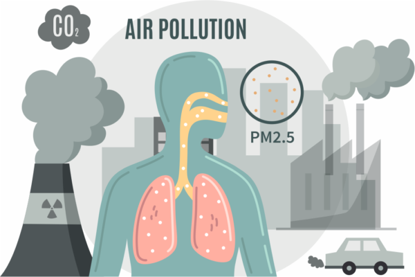 Air pollution and lung diseases – The Health Quest